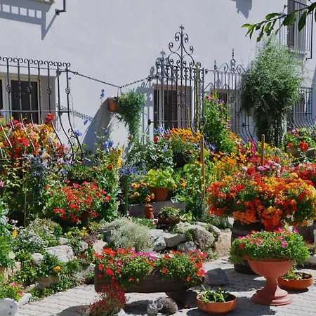 赛莱纳酒店 锡尔斯玛丽亚